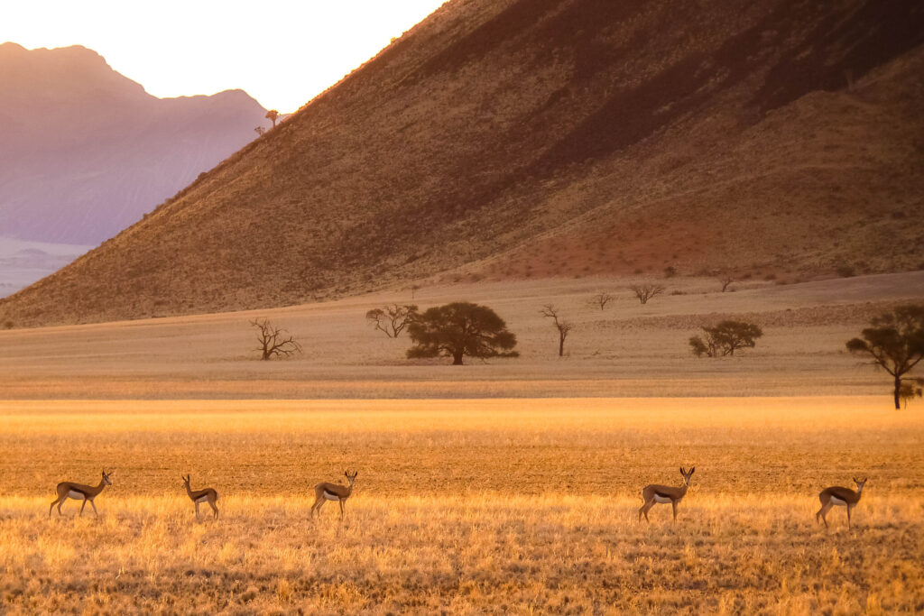 ONE OF THE 10 LARGEST PARKS IN AFRICA
